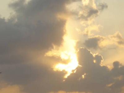 What does this all mean?